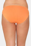 Zivame Anti-Microbial Low Rise Full Coverage Bikini Panty (Pack of 3) - Multicolor — thumbnail 11